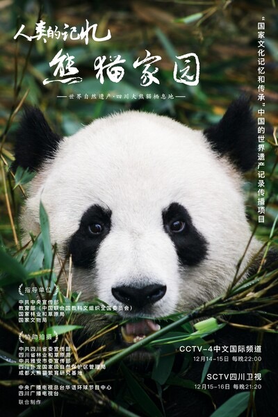 竖屏短剧人气合集封面